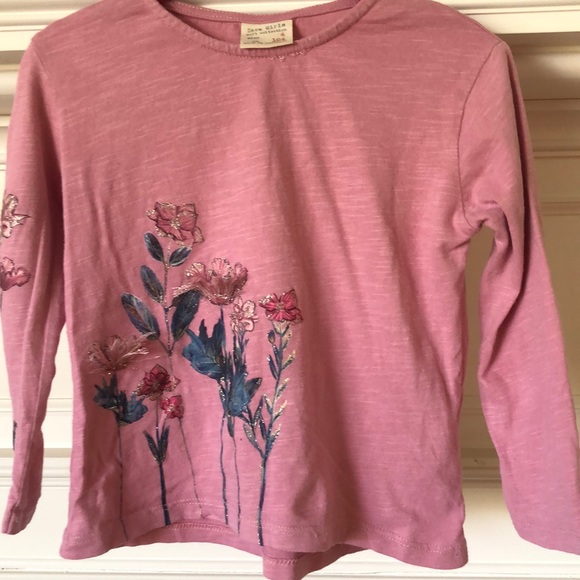 Zara Other - Zara Girls Long Sleeve Pink Top